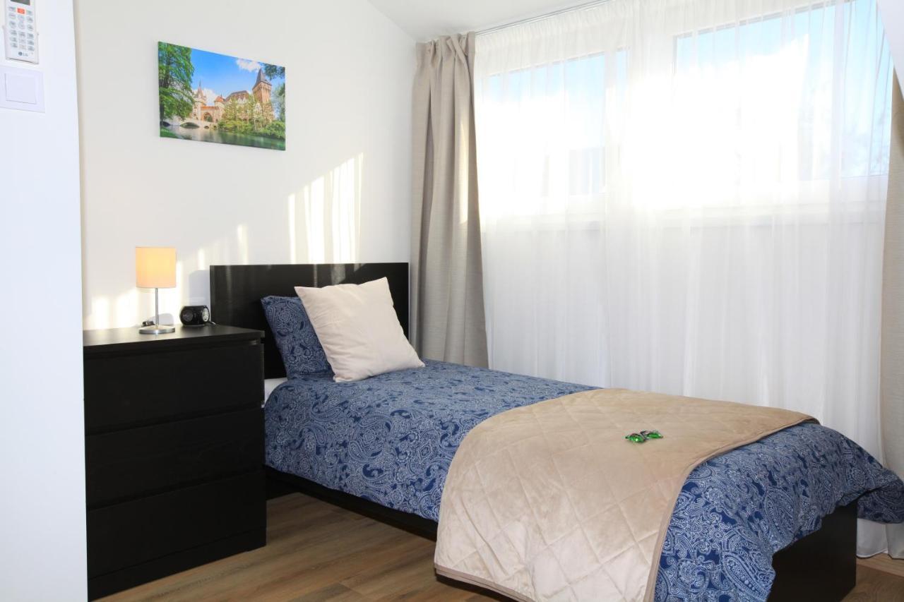 Paskal-Lux Apartments With Free Parking And Ac 布达佩斯 外观 照片