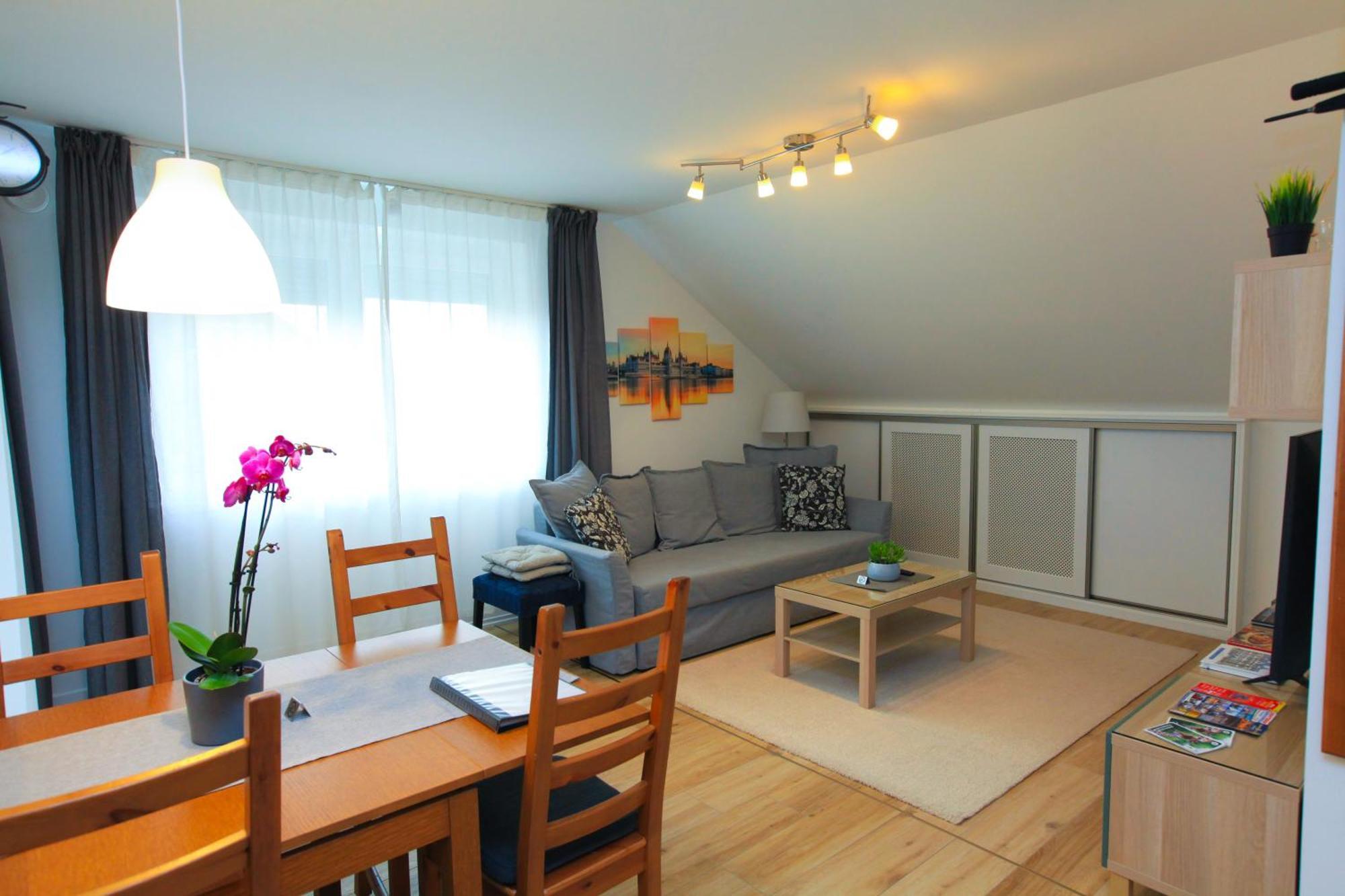 Paskal-Lux Apartments With Free Parking And Ac 布达佩斯 外观 照片
