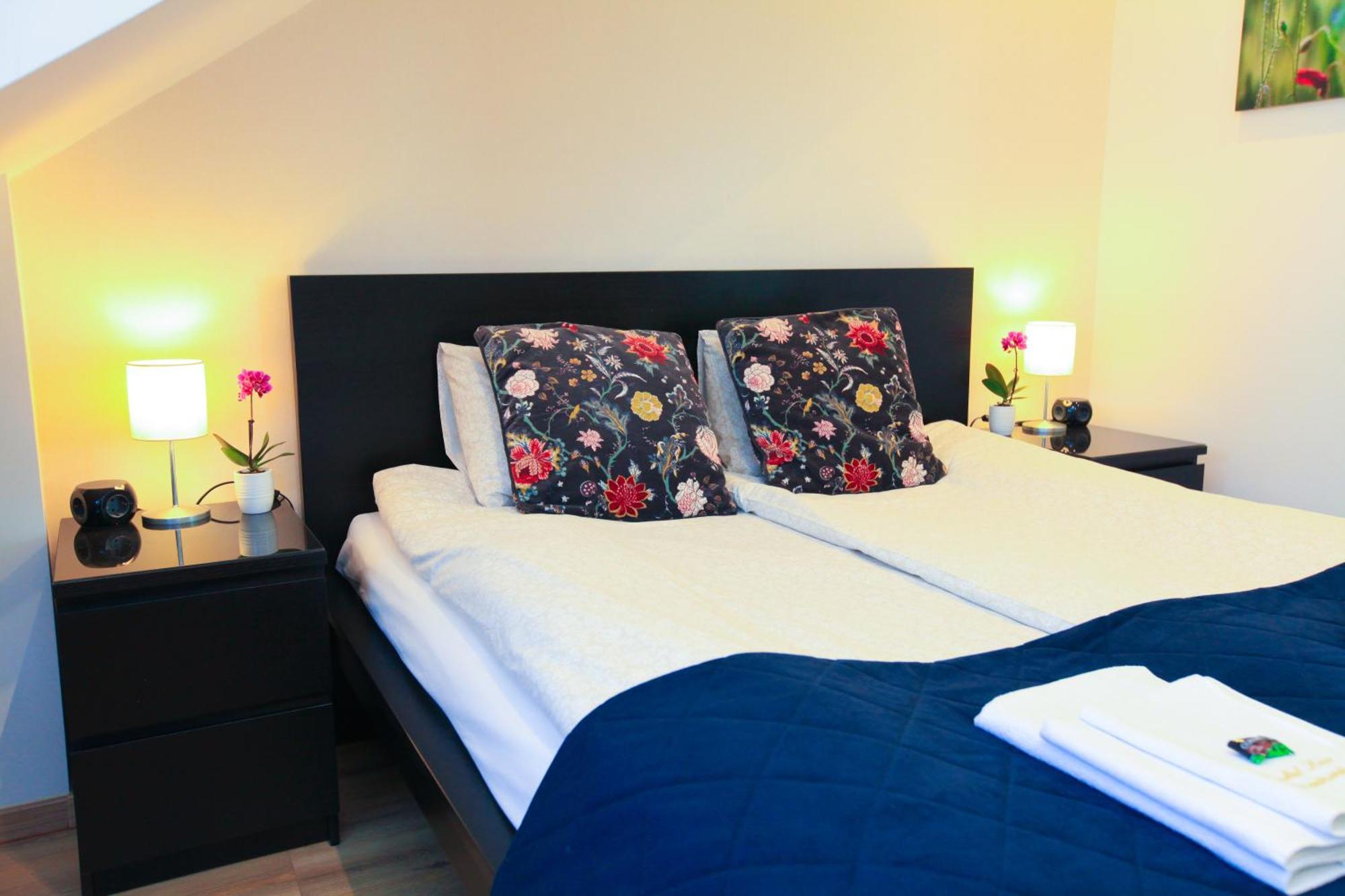 Paskal-Lux Apartments With Free Parking And Ac 布达佩斯 外观 照片
