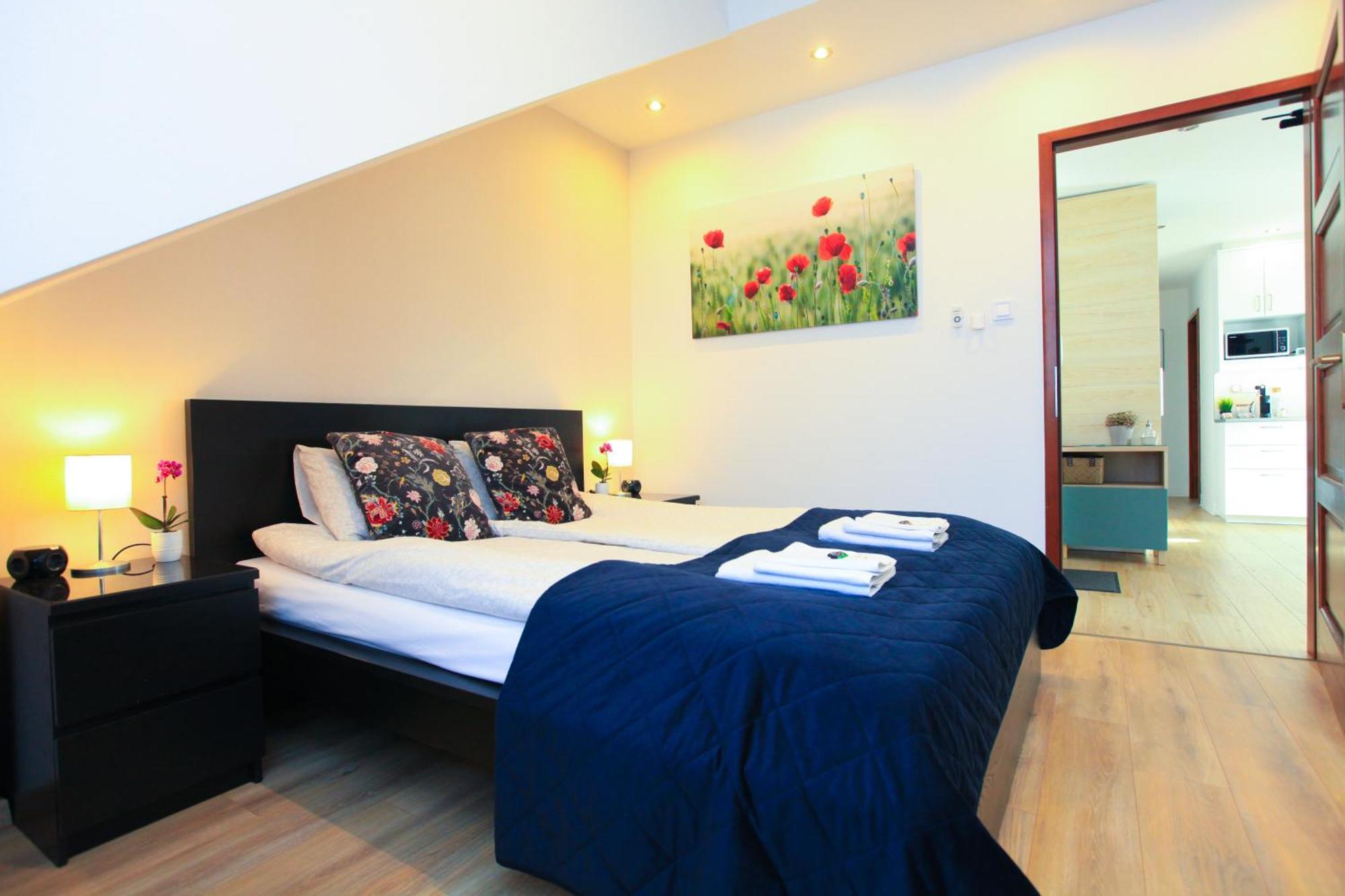 Paskal-Lux Apartments With Free Parking And Ac 布达佩斯 外观 照片